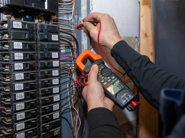 Best Electric Panel Repair  in Iraan, TX